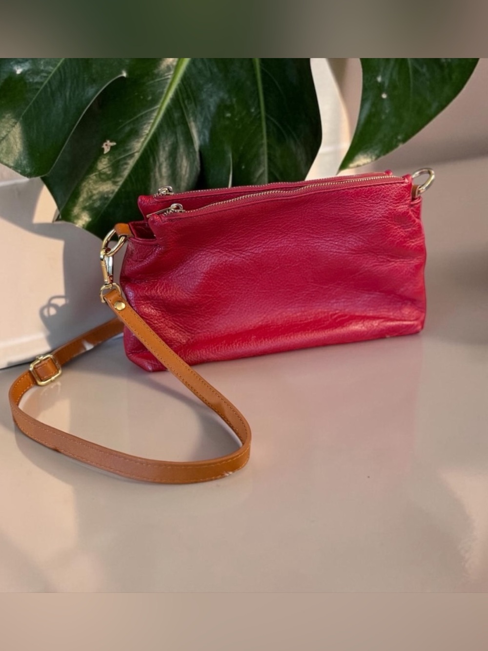 Valentina Red Leather Crossbody with Brown Strap